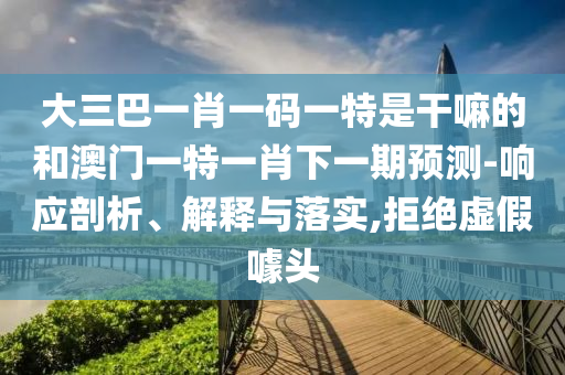 大三巴一肖一碼一特是干嘛的和澳門一特一肖下一期預測-響應剖析、解釋與落實,拒絕虛假噱頭